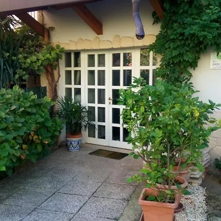 Casa Yami 3*