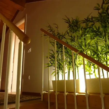 Casa Yami Padua