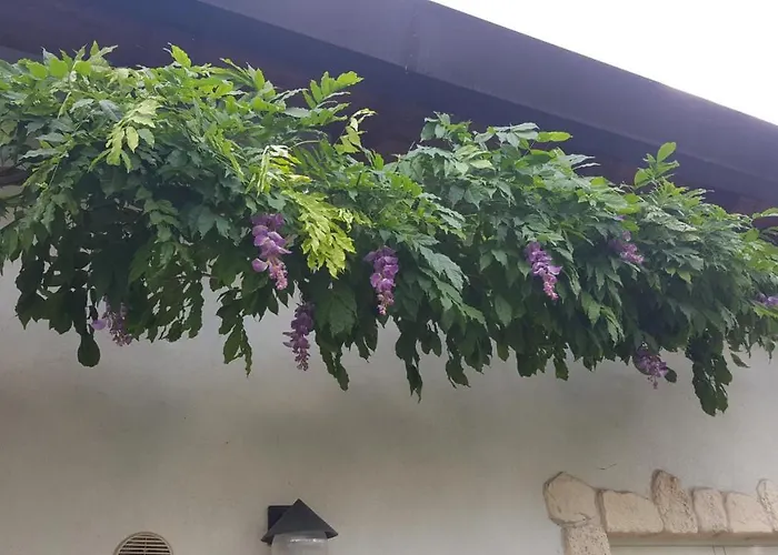 Konukevi Casa Yami 3*